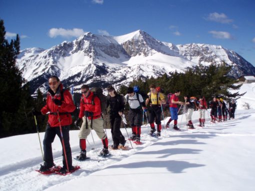 Raquetas de nieve, raqueta, raquetas, líder mundial, aire libre, senderismo, mat