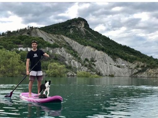 ALQUILER PADDLE SURF